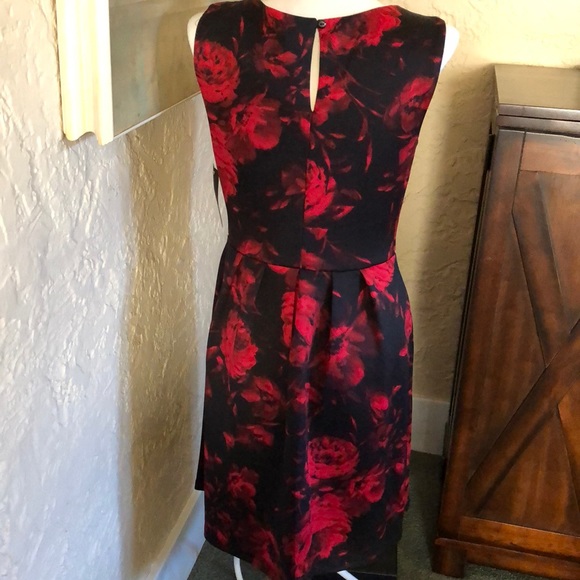 En Focus Studio dress - Picture 3 of 7